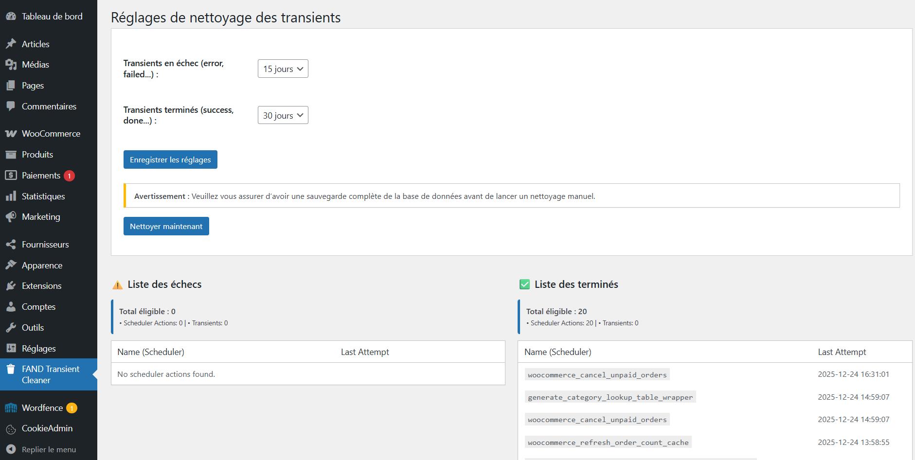 Boostez votre site WordPress avec Fand Transient Action Cleaner